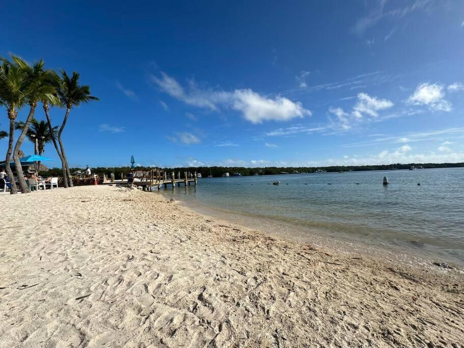 Vacay Spot Experience Luna Sky! 65" Tv Bar, Bbq, Shower Massage Jets, Music, Go To Fl Keys 홈스테드 외부 사진